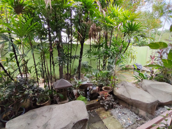 Garden Area