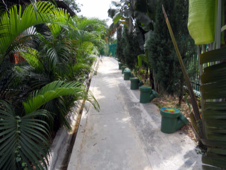 Walking path